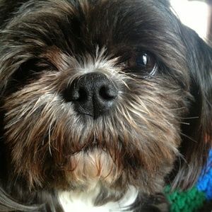 Meet your Posher, Sylvie